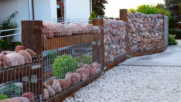 Sichtschutz im Garten: Hecke, Zaun, Mauer oder Gabione im ehrlichen Vergleich